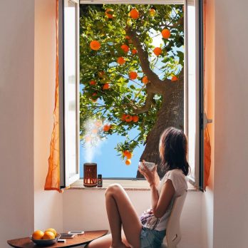 Pack de aceites aromáticos de 15ml