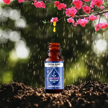Aceite aromático fragancia lluvia oriental de 15ml