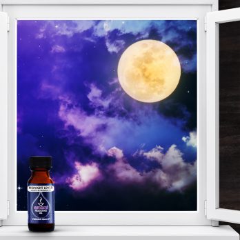 Aceite aromático de fragancia dulce de amor de 15ml